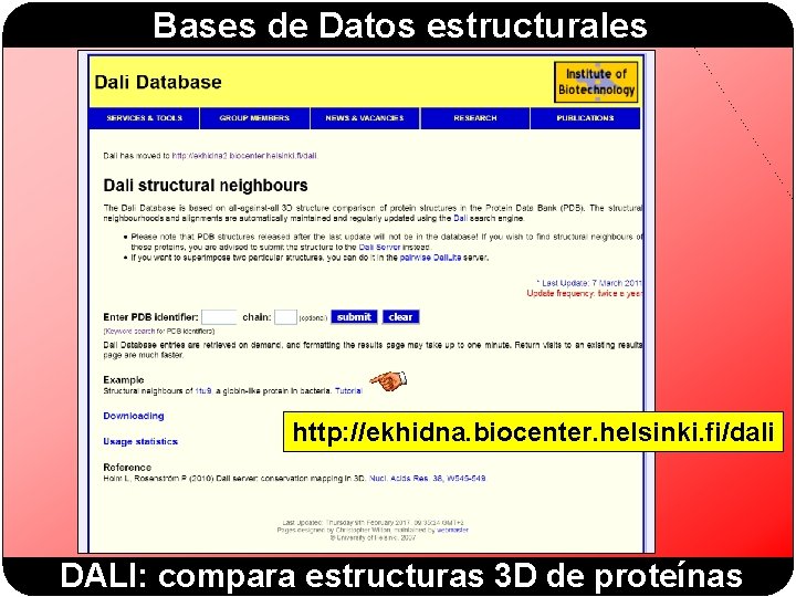 Bases de Datos estructurales http: //ekhidna. biocenter. helsinki. fi/dali DALI: compara estructuras 3 D