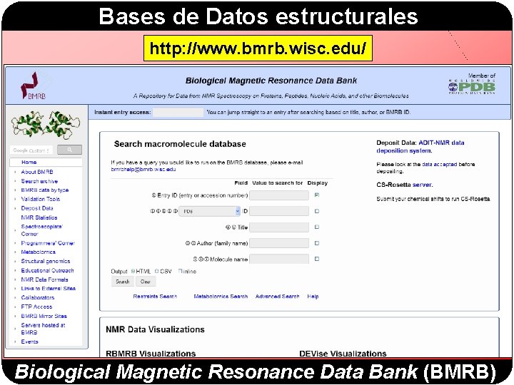 Bases de Datos estructurales http: //www. bmrb. wisc. edu/ Biological Magnetic Resonance Data Bank Bases de Datos estructurales http: //www. bmrb. wisc. edu/ Biological Magnetic Resonance Data Bank