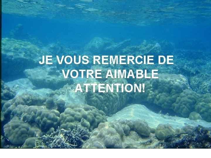 JE VOUS REMERCIE DE VOTRE AIMABLE ATTENTION! 