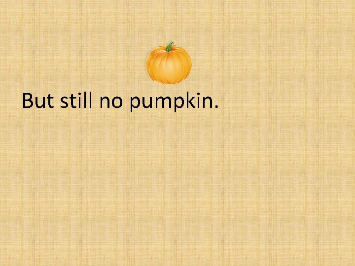 But still no pumpkin. 