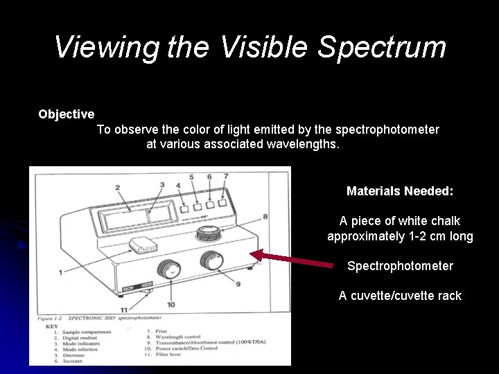 Viewing the Visible Spectrum Objective To observe the color of light emitted by the