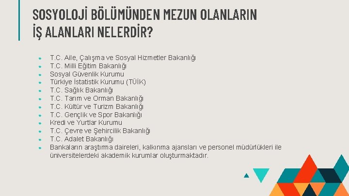 SOSYOLOJİ BÖLÜMÜNDEN MEZUN OLANLARIN İŞ ALANLARI NELERDİR? ● ● ● T. C. Aile, Çalışma