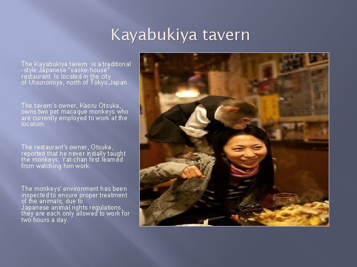 Kayabukiya tavern The Kayabukiya tavern is a traditional -style Japanese “saske-house" restaurant. Is located