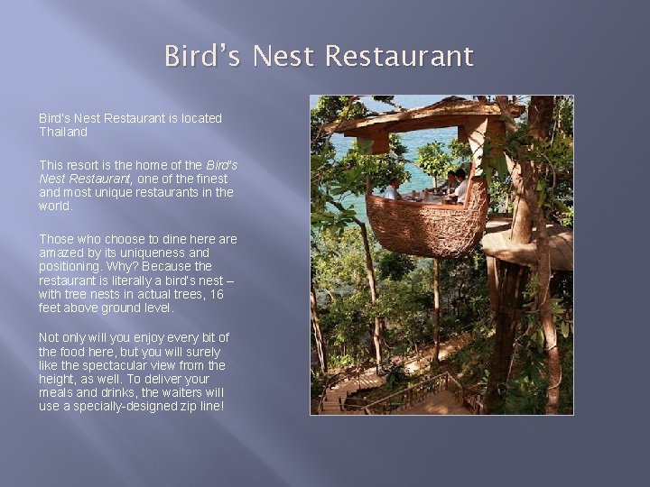 Bird’s Nest Restaurant is located Thailand This resort is the home of the Bird’s