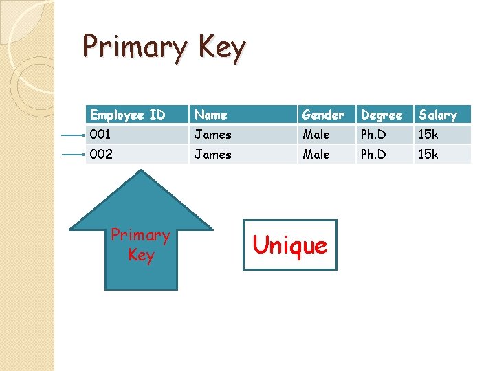 Primary Key Employee ID Name Gender Degree Salary 001 James Male Ph. D 15