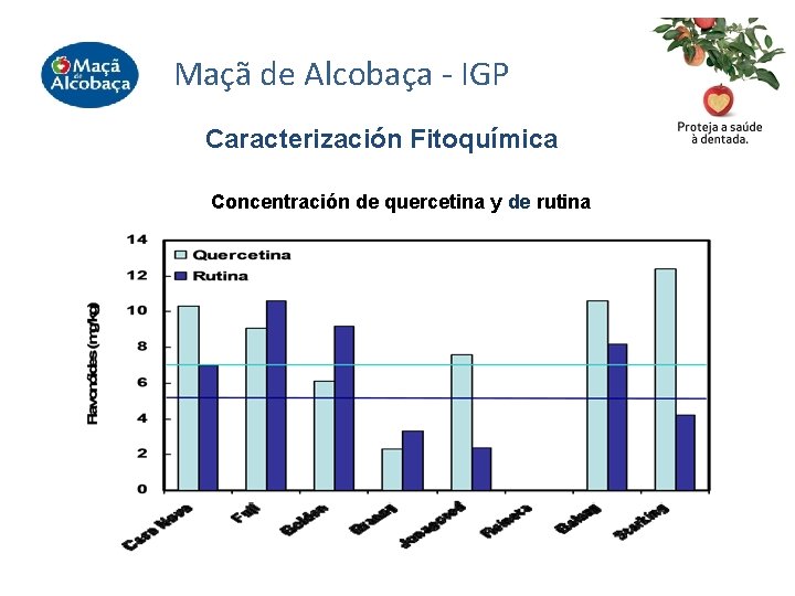 Maçã de Alcobaça - IGP Caracterización Fitoquímica Concentración de quercetina y de rutina 