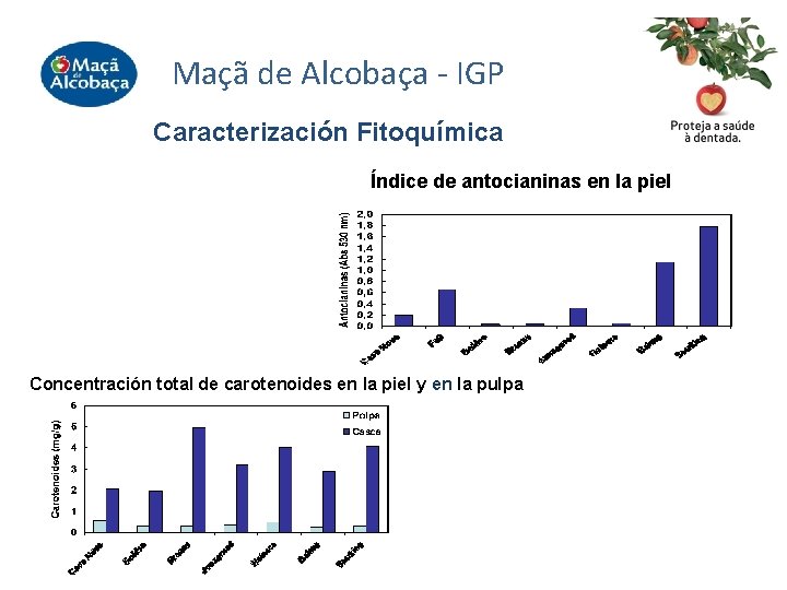 Maçã de Alcobaça - IGP Caracterización Fitoquímica Índice de antocianinas en la piel Concentración