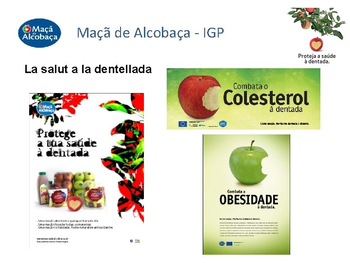 Maçã de Alcobaça - IGP La salut a la dentellada 