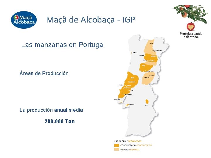 Maçã de Alcobaça - IGP Las manzanas en Portugal Áreas de Producción La producción