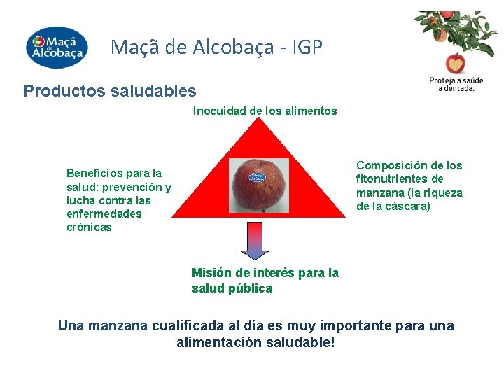 Maçã de Alcobaça - IGP Productos saludables Inocuidad de los alimentos Composición de los