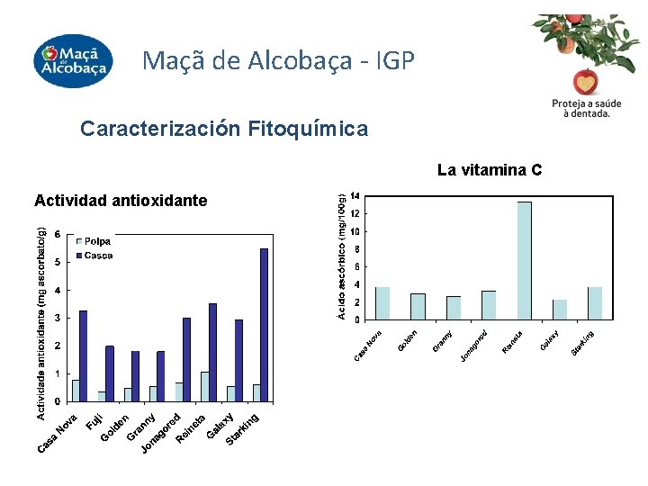 Maçã de Alcobaça - IGP Caracterización Fitoquímica La vitamina C Actividad antioxidante 