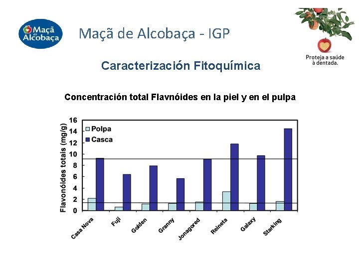 Maçã de Alcobaça - IGP Caracterización Fitoquímica Concentración total Flavnóides en la piel y