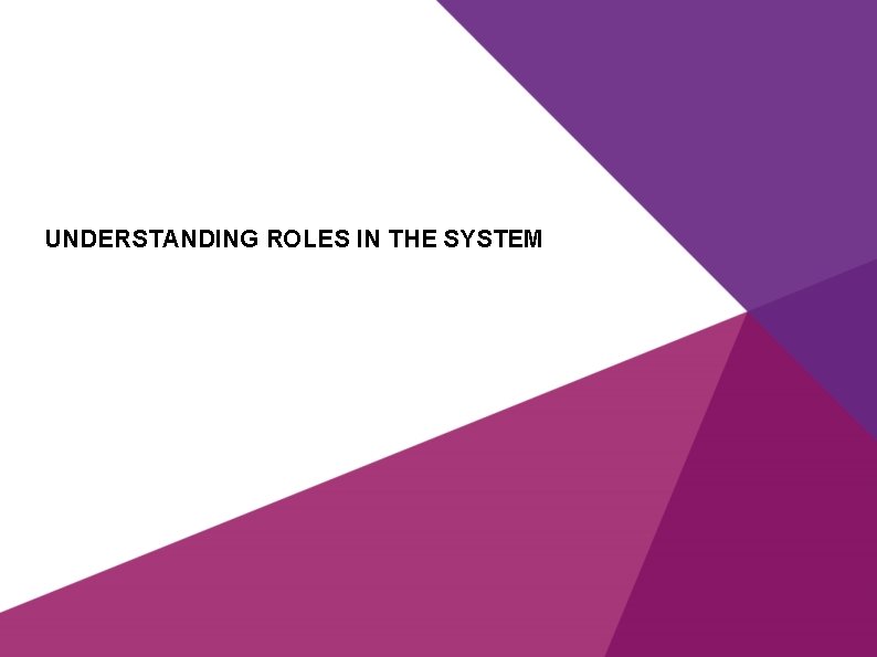 UNDERSTANDING ROLES IN THE SYSTEM 