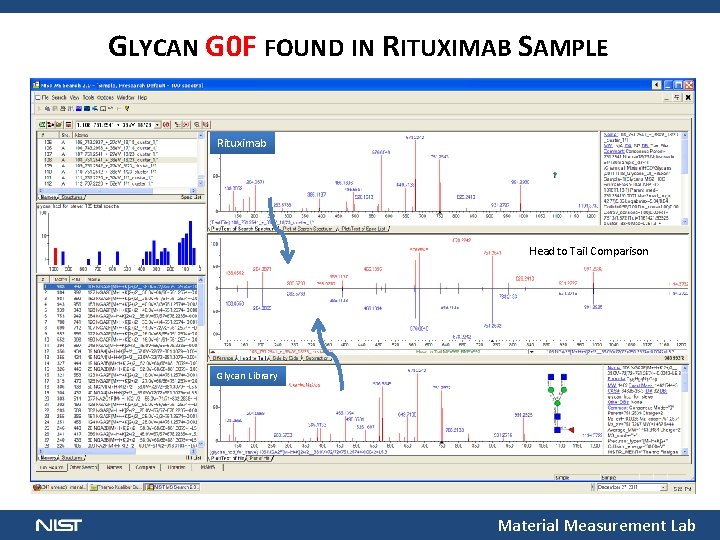 GLYCAN G 0 F FOUND IN RITUXIMAB SAMPLE Rituximab Head to Tail Comparison Glycan