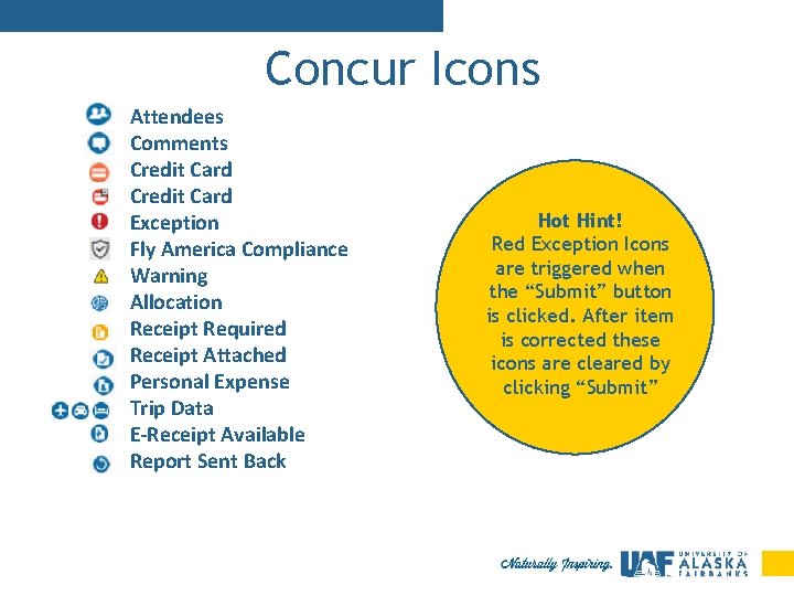 Concur Icons Attendees Comments Credit Card Exception Fly America Compliance Warning Allocation Receipt Required