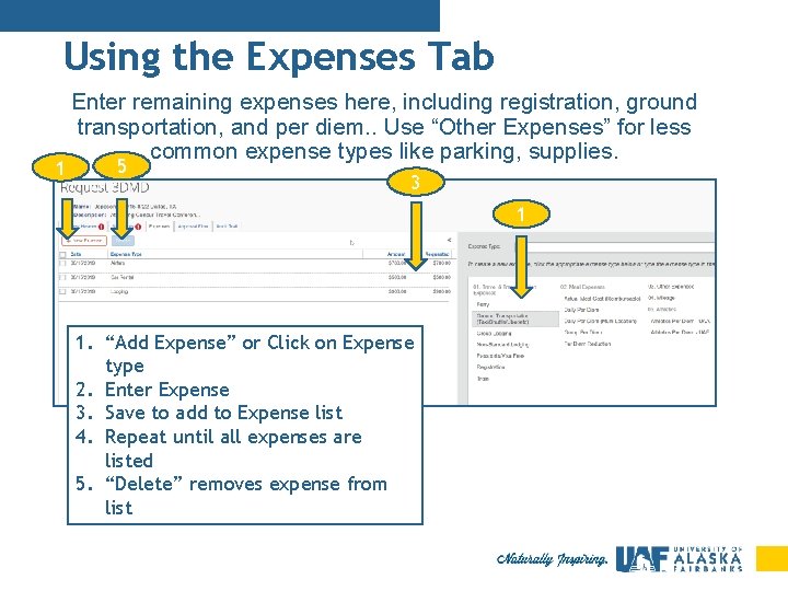 Using the Expenses Tab 1 Enter remaining expenses here, including registration, ground transportation, and