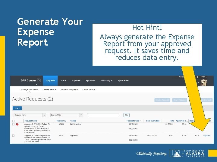 Generate Your Expense Report Hot Hint! Always generate the Expense Report from your approved