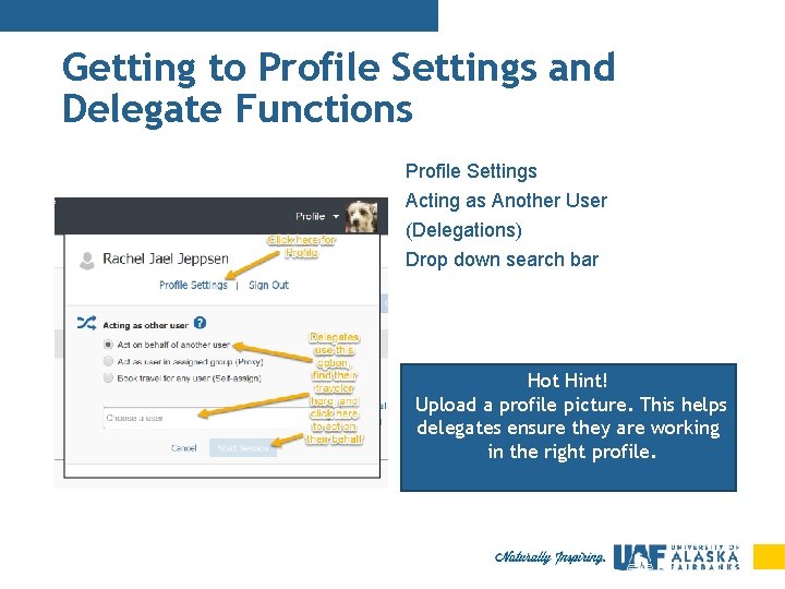 Getting to Profile Settings and Delegate Functions Profile Settings Acting as Another User (Delegations)