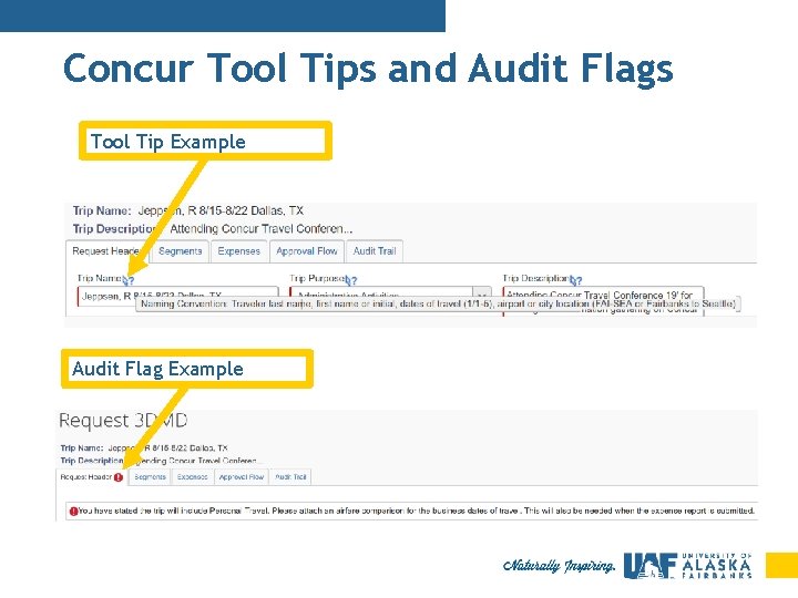 Concur Tool Tips and Audit Flags Tool Tip Example Audit Flag Example 