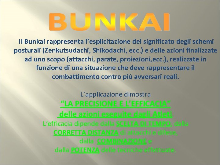 II Bunkai rappresenta l’esplicitazione del significato degli schemi posturali (Zenkutsudachi, Shikodachi, ecc. ) e