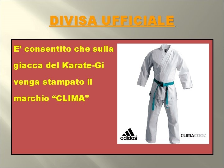 DIVISA UFFICIALE E’ consentito che sulla giacca del Karate-Gi venga stampato il marchio “CLIMA”