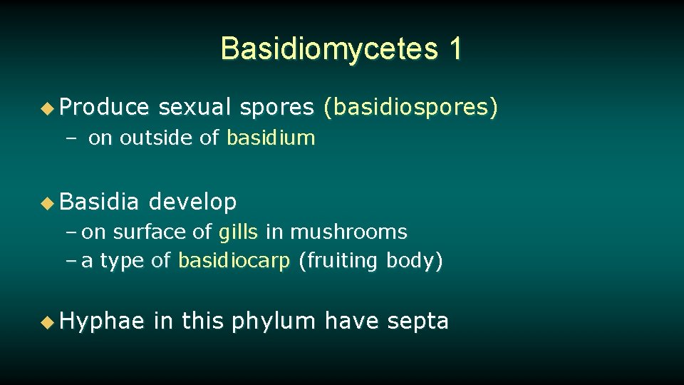 Basidiomycetes 1 u Produce sexual spores (basidiospores) – on outside of basidium u Basidia