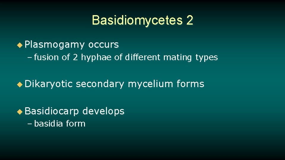Basidiomycetes 2 u Plasmogamy occurs – fusion of 2 hyphae of different mating types