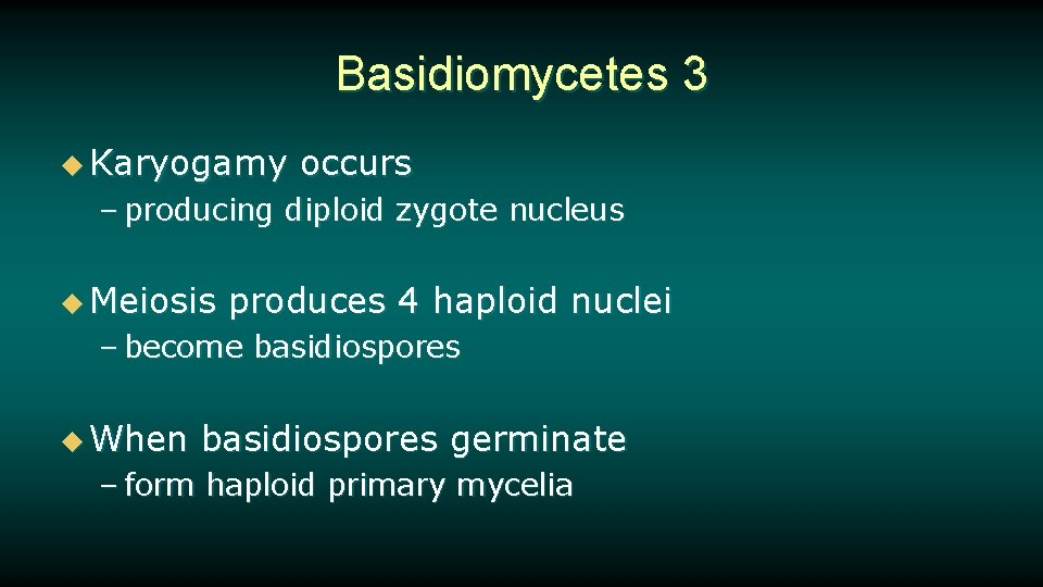 Basidiomycetes 3 u Karyogamy occurs – producing diploid zygote nucleus u Meiosis produces 4