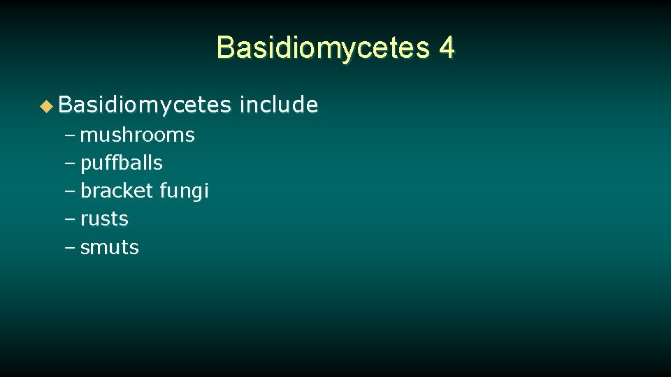 Basidiomycetes 4 u Basidiomycetes – mushrooms – puffballs – bracket fungi – rusts –