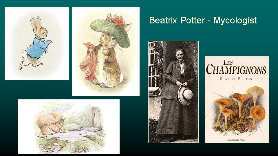 Beatrix Potter - Mycologist 