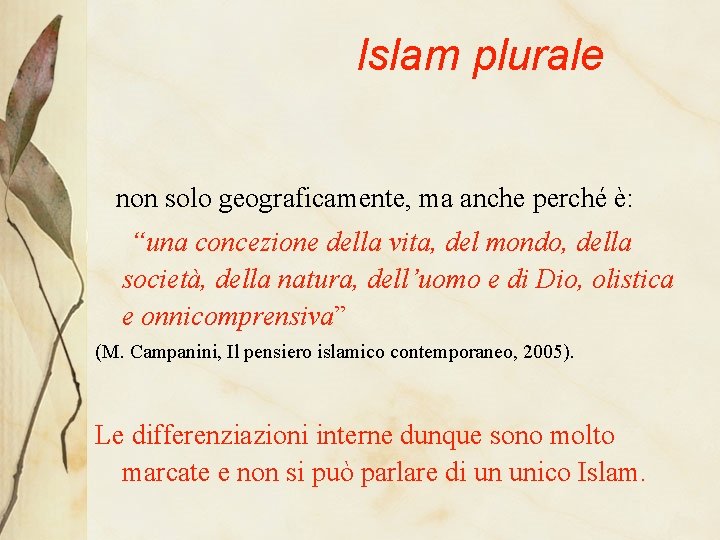 Islam plurale non solo geograficamente, ma anche perché è: “una concezione della vita, del