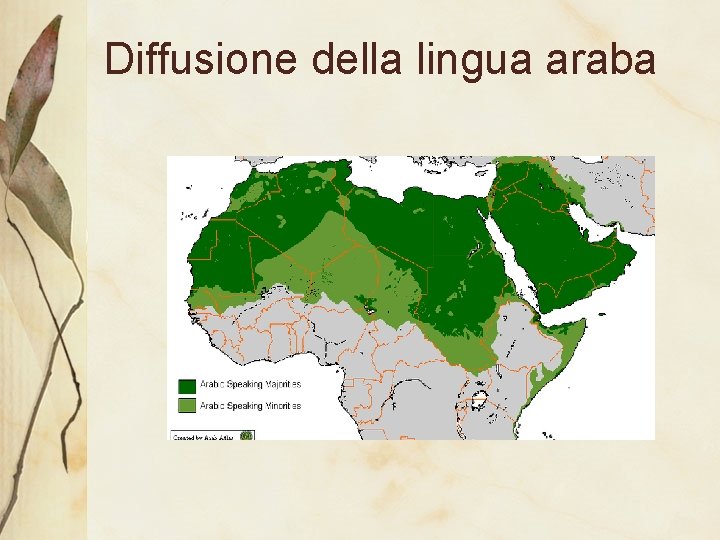 Diffusione della lingua araba 