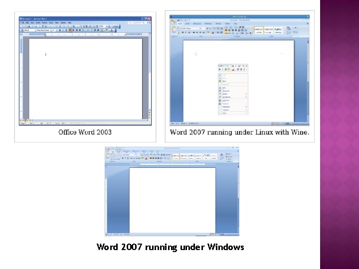Word 2007 running under Windows 
