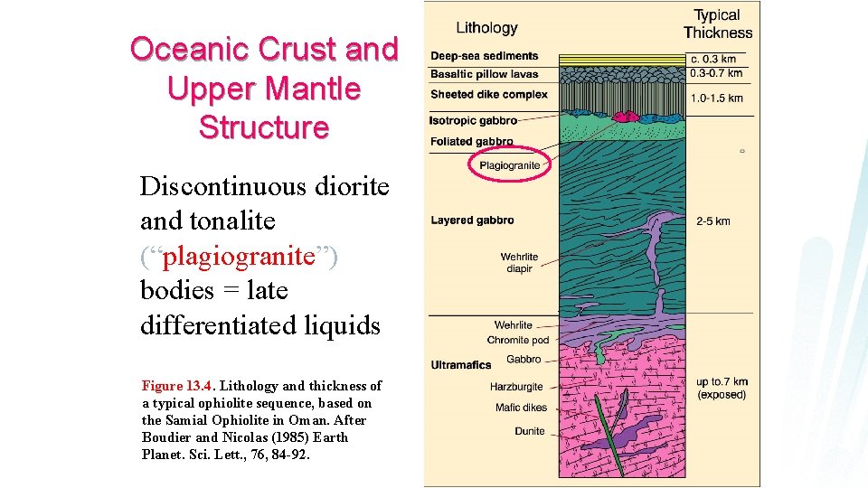 Oceanic Crust and Upper Mantle Structure Discontinuous diorite and tonalite (“plagiogranite”) bodies = late