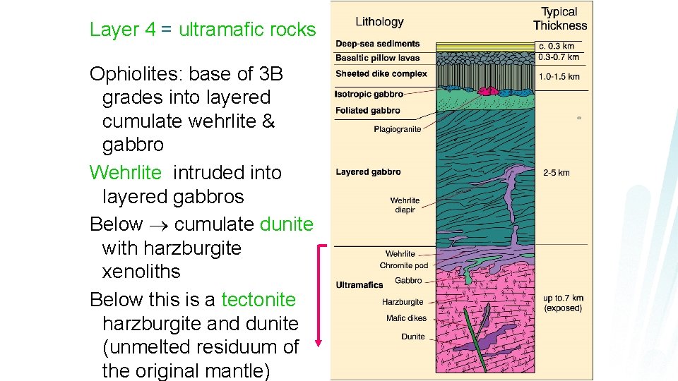 Layer 4 = ultramafic rocks Ophiolites: base of 3 B grades into layered cumulate