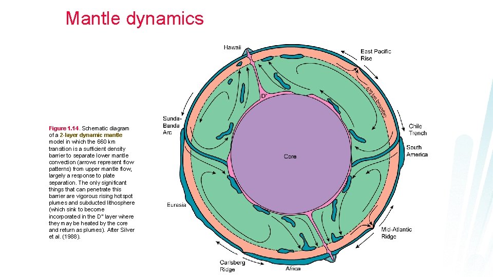 Mantle dynamics Figure 1. 14. Schematic diagram of a 2 -layer dynamic mantle model