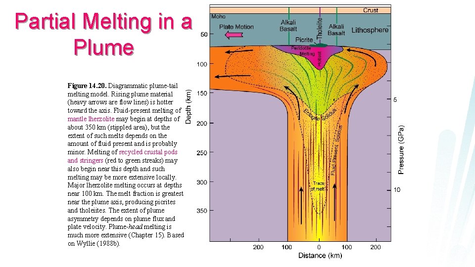 Partial Melting in a Plume Figure 14. 20. Diagrammatic plume-tail melting model. Rising plume