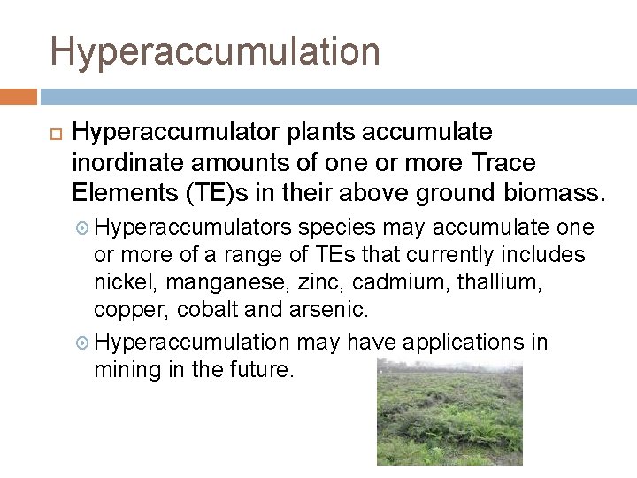 Hyperaccumulation Hyperaccumulator plants accumulate inordinate amounts of one or more Trace Elements (TE)s in