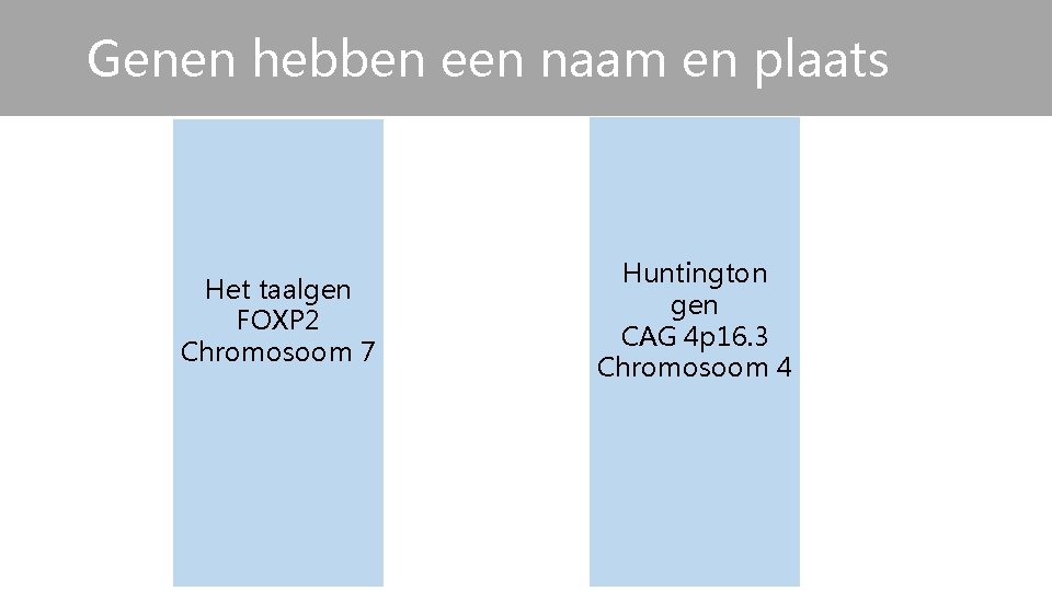 Genen hebben een naam en plaats cg Het taalgen FOXP 2 Chromosoom 7 Huntington