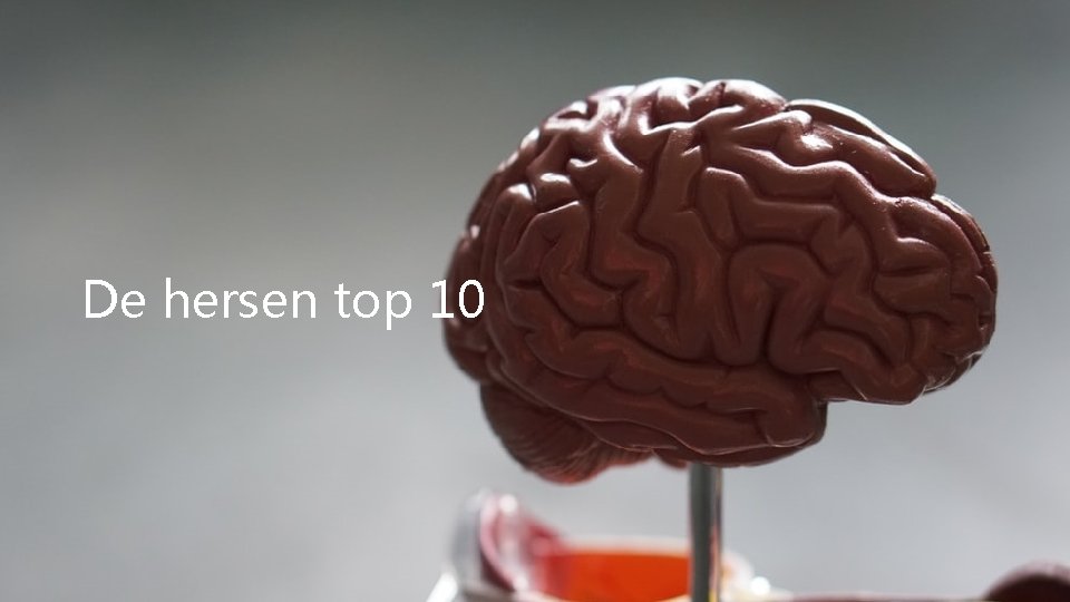 De hersen top 10 