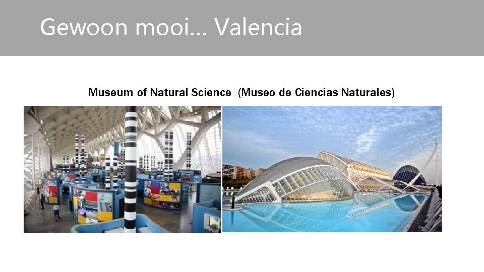 Gewoon mooi… Valencia Museum of Natural Science (Museo de Ciencias Naturales) 