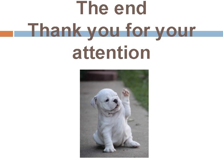 The end Thank you for your attention 