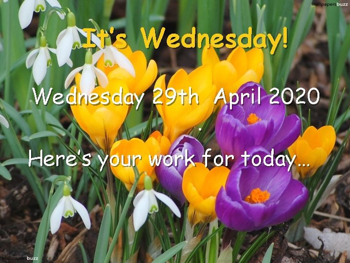 It’s Wednesday! Wednesday 29 th April 2020. Here’s your work for today… 