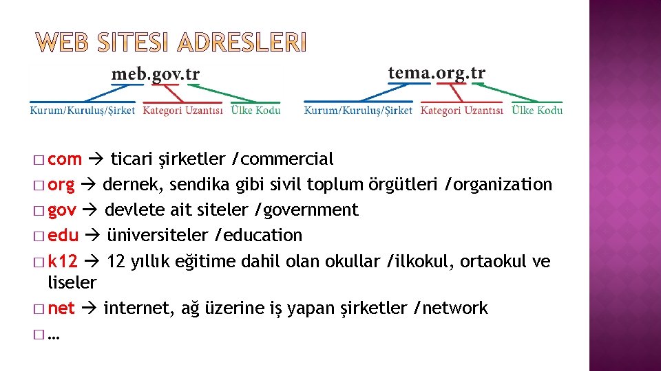 � com ticari şirketler /commercial � org dernek, sendika gibi sivil toplum örgütleri /organization