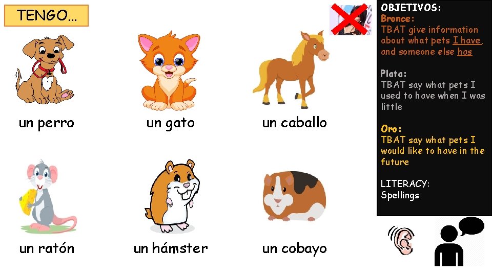 OBJETIVOS: Bronce: TBAT give information about what pets I have, and someone else has