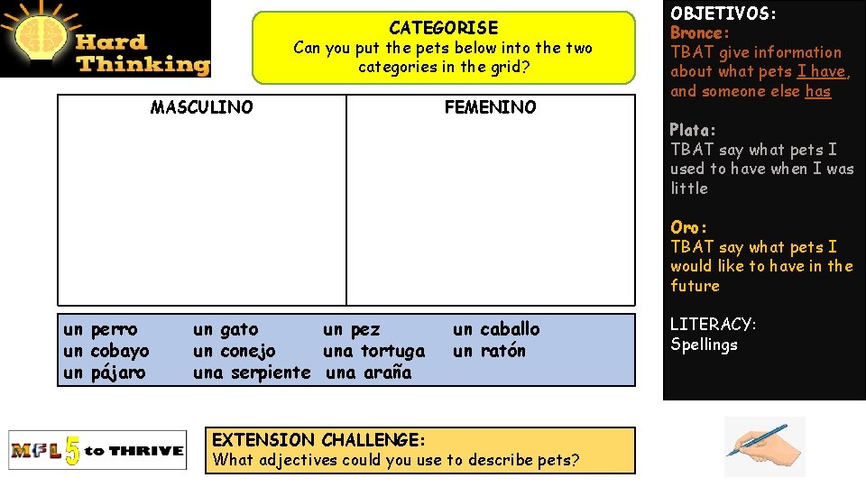 CATEGORISE Can you put the pets below into the two categories in the grid?