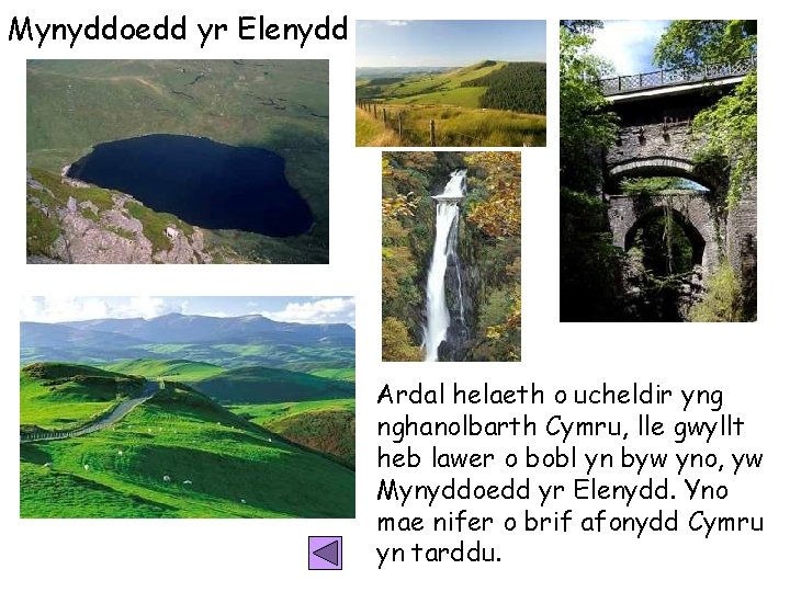 Mynyddoedd yr Elenydd Ardal helaeth o ucheldir yng nghanolbarth Cymru, lle gwyllt heb lawer