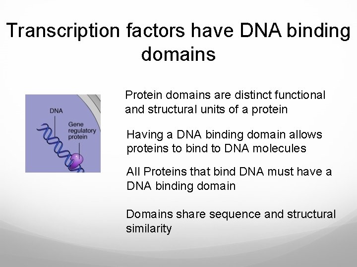 Transcription factors have DNA binding domains Protein domains are distinct functional and structural units