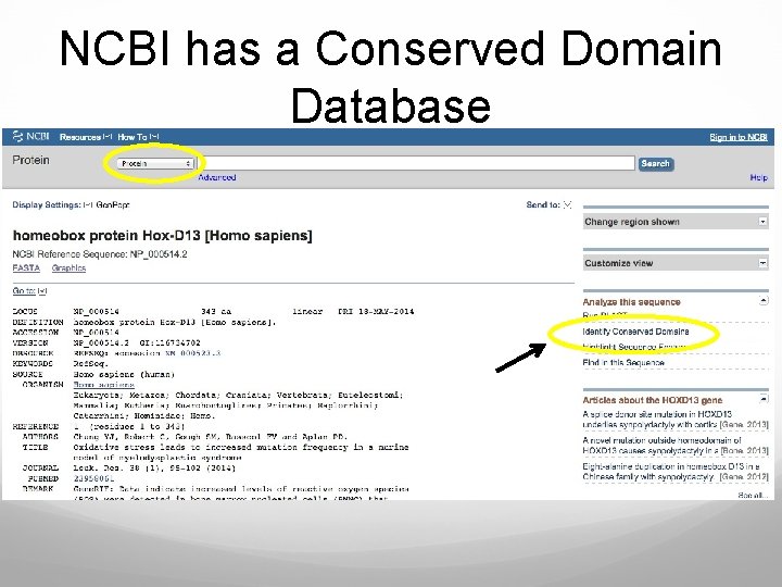 NCBI has a Conserved Domain Database 