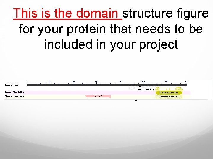 This is the domain structure figure for your protein that needs to be included